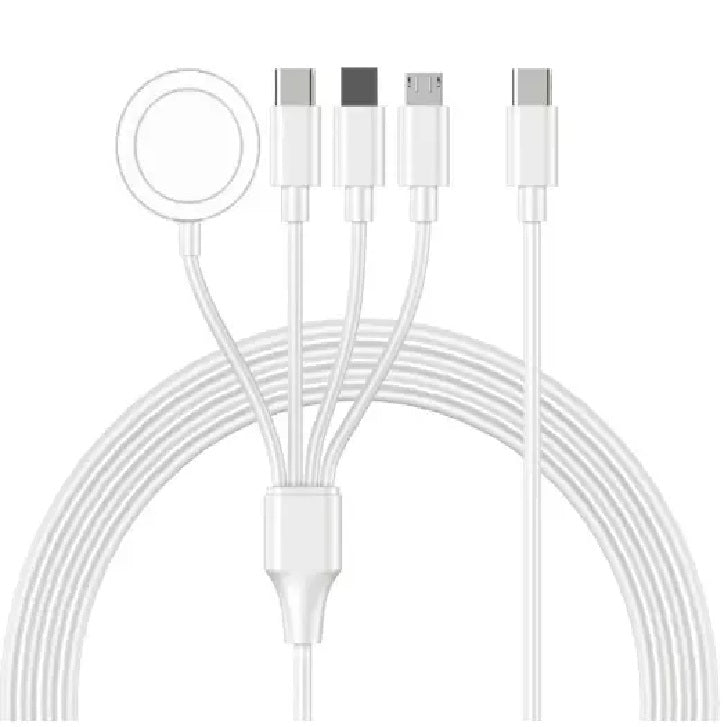 4 - in - 1 USB Charger Cable (USB C Connection)