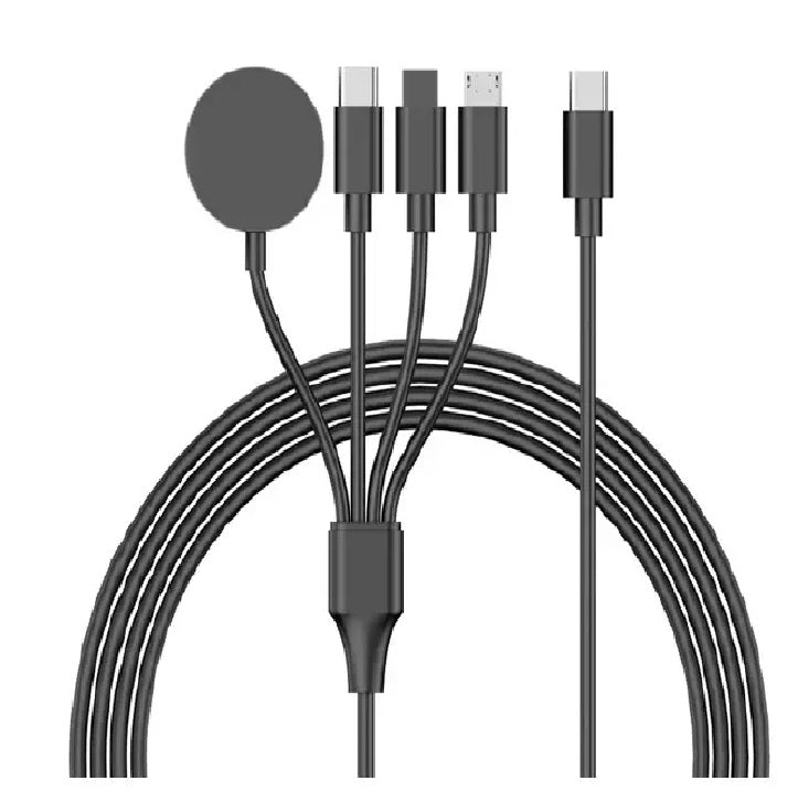4 - in - 1 USB Charger Cable (USB C Connection)